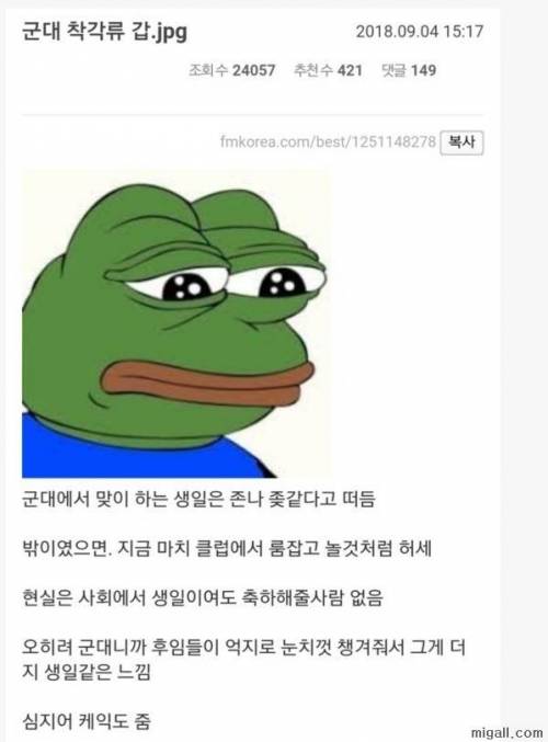 군대 착각류 甲.jpg