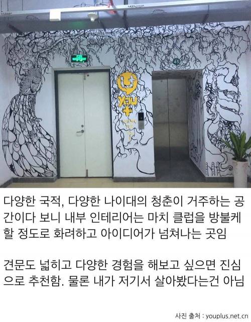 샤오미가 만든 인싸용 원룸.jpg