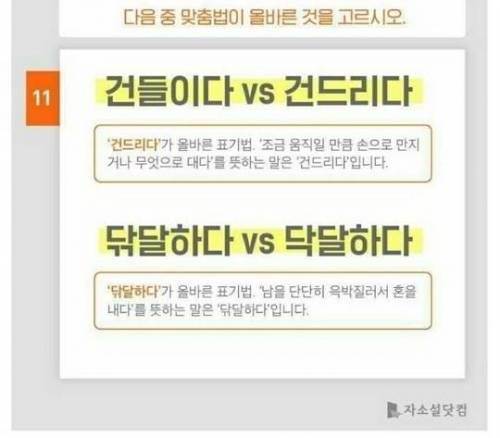 대학생 50%가 틀리는 맞춤법.jpg