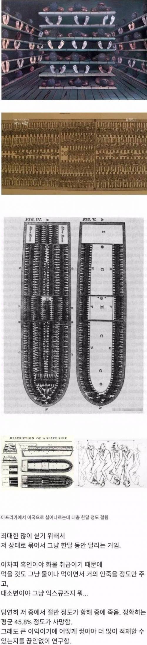 아프리카에서 미국으로 노예를 운반한 방법.jpg