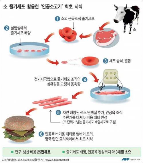 인공 소고기.jpg