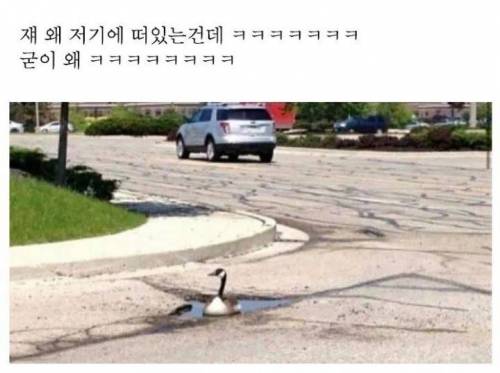 소확행.jpg