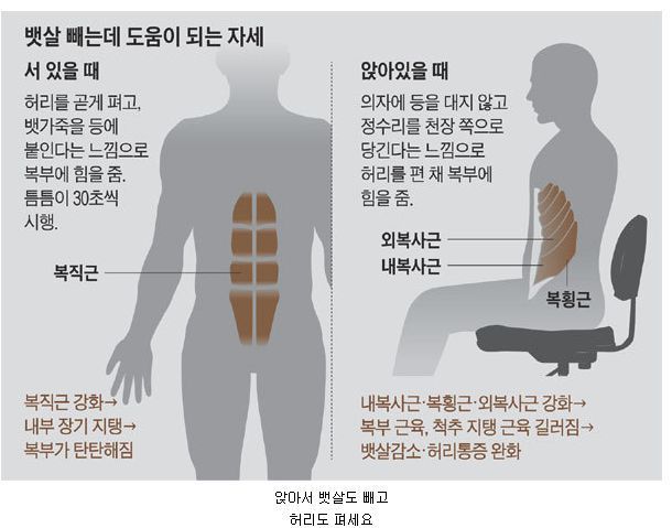 크게 힘들지도 않고 뱃살 빼는데 도움이 되는 동작.JPG