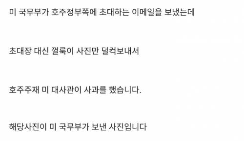 미 국무부, 호주정부에게 초청메일에 실수로 고양이 사진만 보내