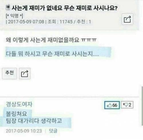 사는게 재미가 없네요 무슨 재미로 사시나요?