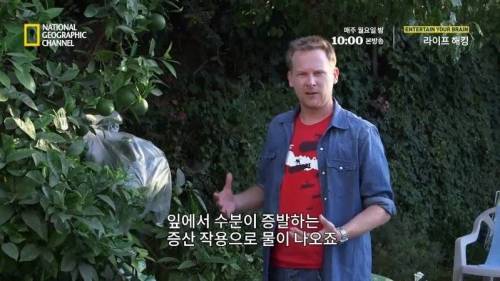 긴급 재해 상황에서 식수를 구하는 방법.mp4