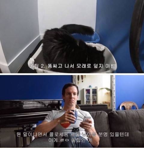 집냥이들아 개꿀팁 알려준다.jpg