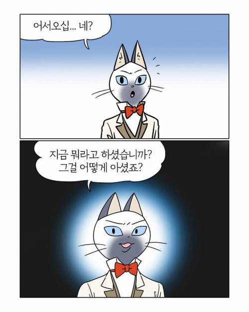 상받은 부기영화.jpg