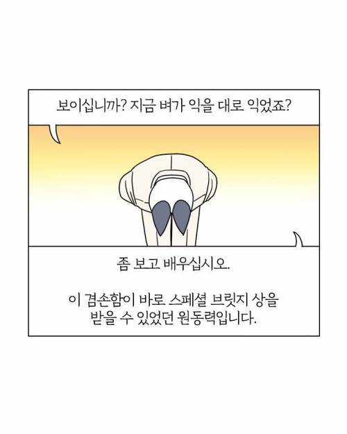 상받은 부기영화.jpg