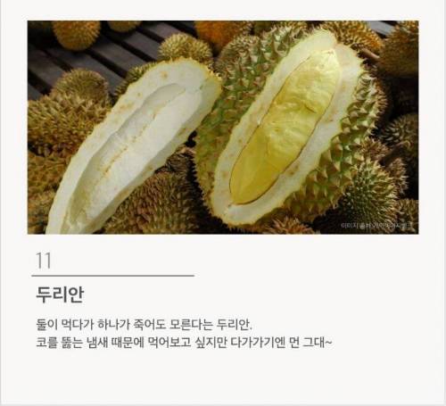 맛있다고는 하는데 절대 못 먹겠는 음식 12가지