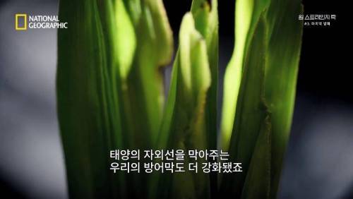 지구의 첫 산소 생성 .jpg