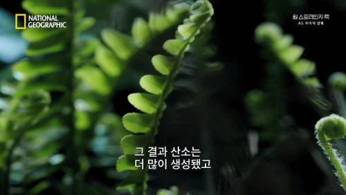 지구의 첫 산소 생성 .jpg