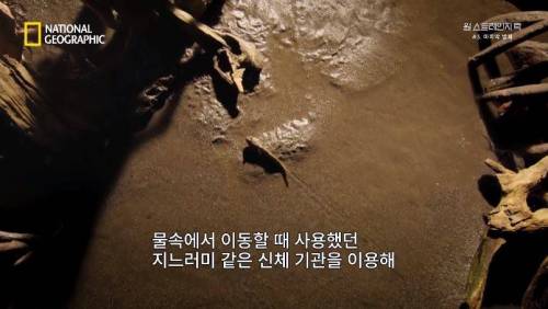 지구의 첫 산소 생성 .jpg