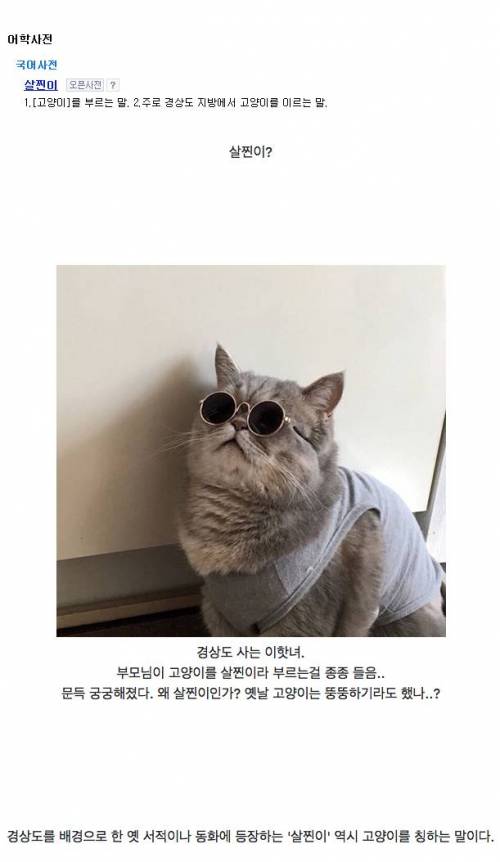 경상도에서 고양이를 부르는 말.jpg