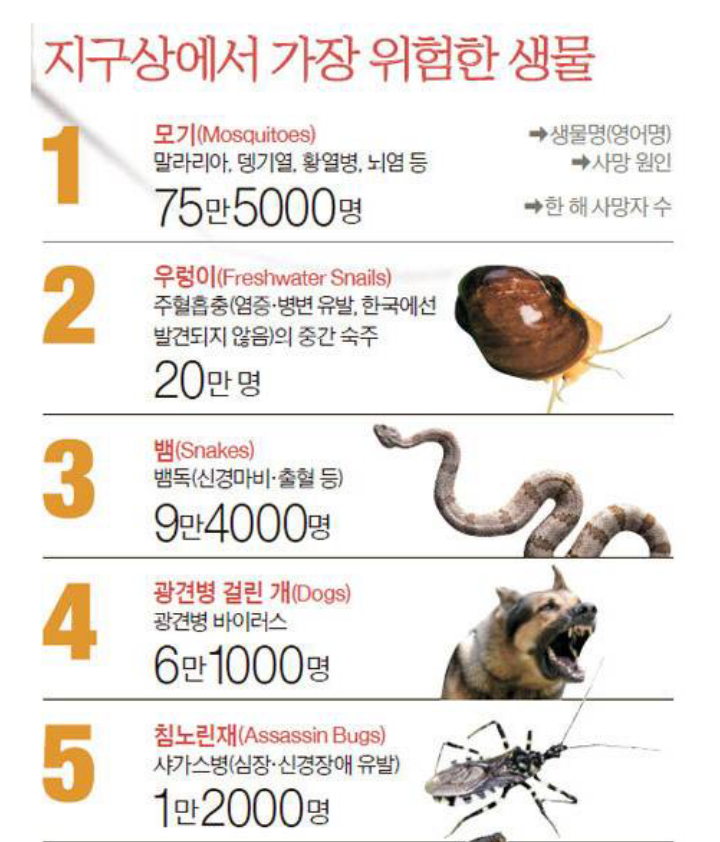 지구상에서 가장 위험한 생물.jpg