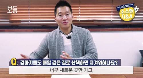 강아지도 매일 같은 길로 산책하면 지겨워 하나요?