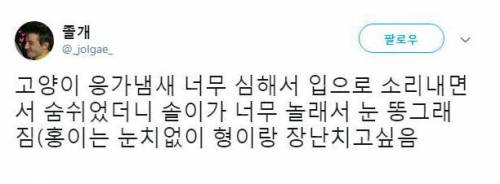 고양이 응가 냄새가 너무 심해서 입으로 숨을 쉬었더니