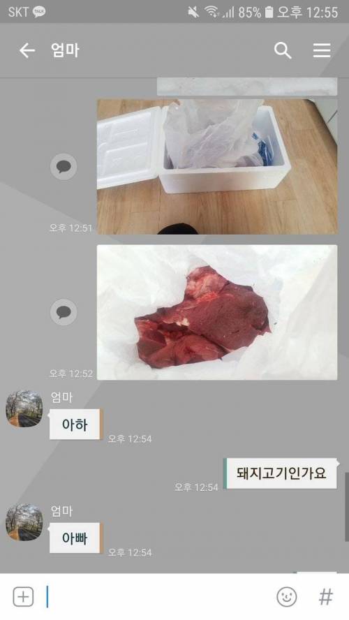 엄마 이거 왠 고기야?.jpg