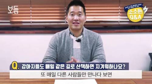 강아지도 매일 같은 길로 산책하면 지겨워 하나요?