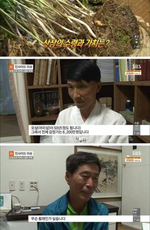 산삼 60여 뿌리 캔 부부.jpg