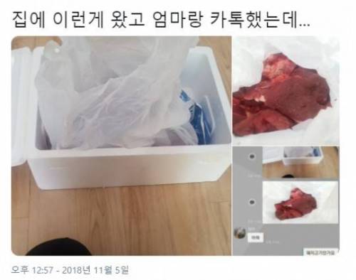 엄마 이거 왠 고기야?.jpg