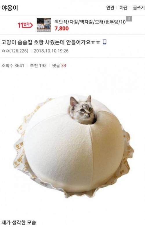 고양이 숨숨집을 사준 디시인.jpg