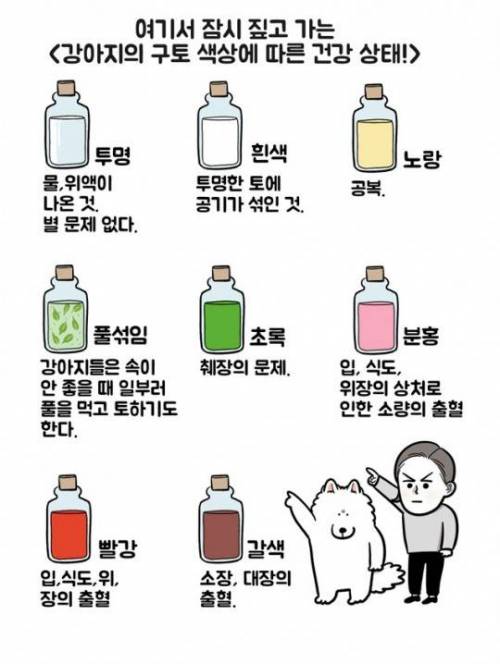 강아지 구토 색상에 따른 건강상태.jpg