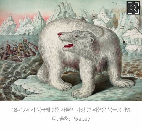 [스압] 북극곰 고기 먹으면 최대 사망.jpg