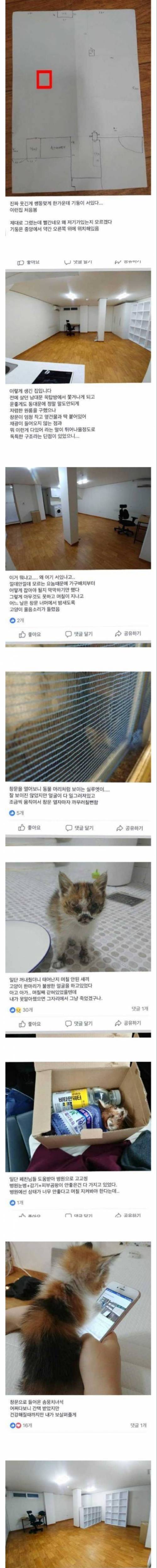 [스압] 원룸꾸미기 레전드...jpg