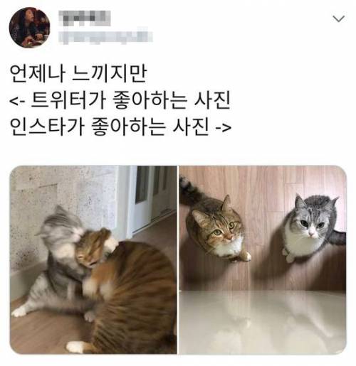 트위터와 인스타의 차이.jpg