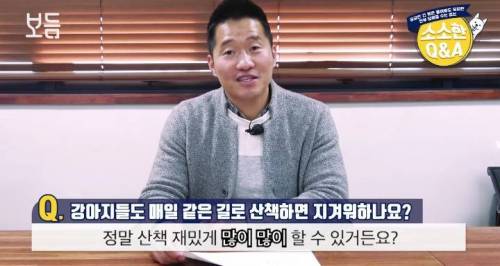 강아지도 매일 같은 길로 산책하면 지겨워 하나요?