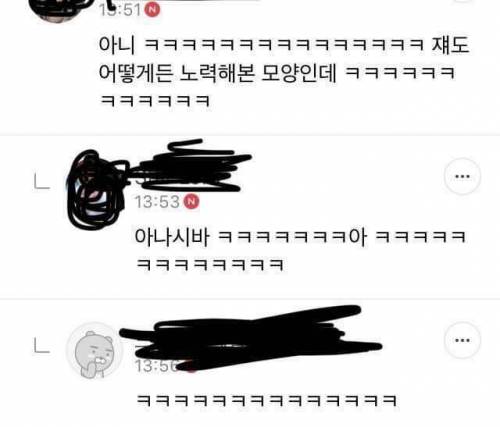 고양이 숨숨집을 사준 디시인.jpg