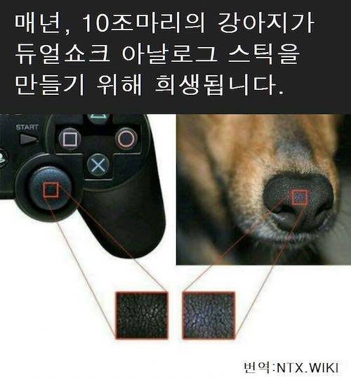 콘솔 게임기를 사면 안되는 이유.jpg