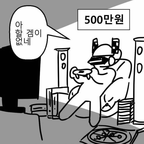 똑같이 500만원지른 겜유저.jpg