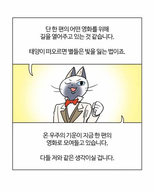 부기 영화가 기대하고 있는 영화.jpg