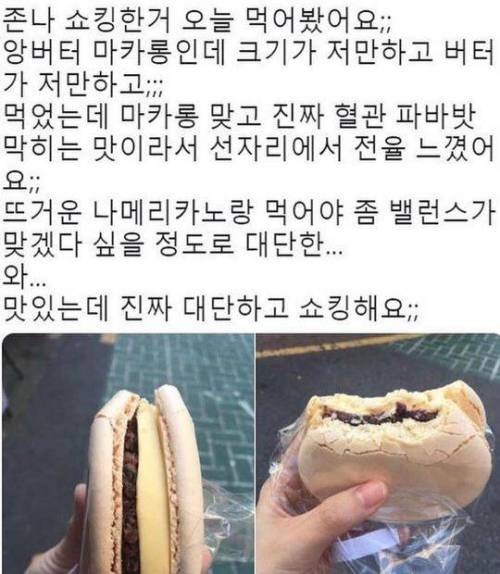 햄버거?? 마카롱???.jpg