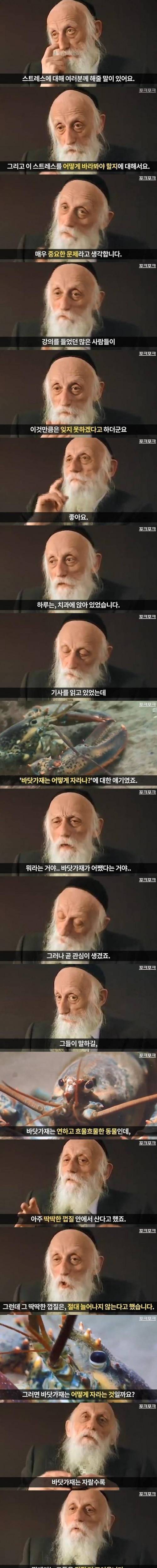 [스압] 바닷가재가 성장하는 법.jpg