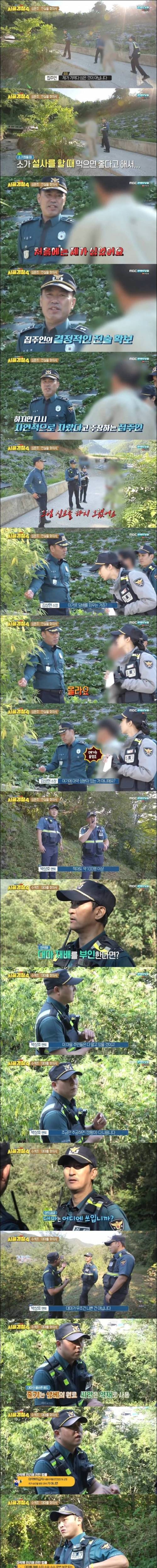 [스압] 100평대 대마 농장.jpg