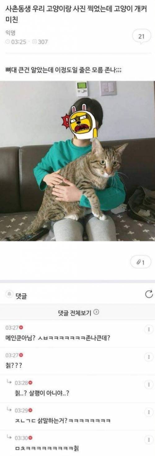 고양이 왜케 크죠?.jpg