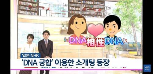 일본 DNA 궁합 소개팅.jpg