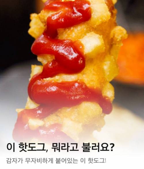 지역마다 불리는 이름이 다른 핫도그.jpg