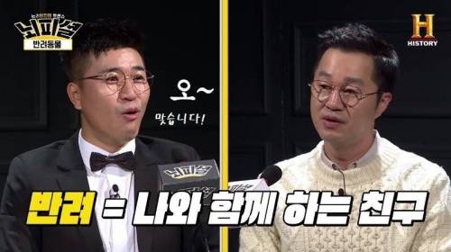 [스압] 개 vs 고양이 진정한 반려동물은?