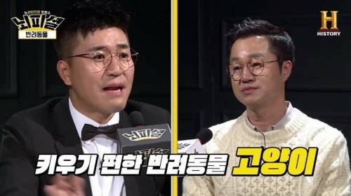 [스압] 개 vs 고양이 진정한 반려동물은?