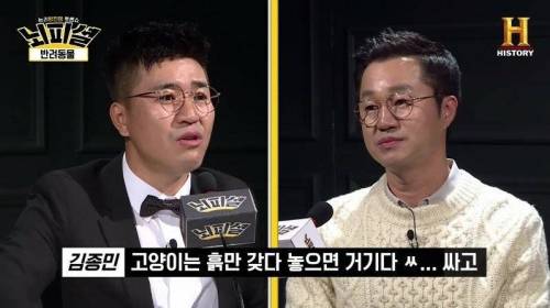 [스압] 개 vs 고양이 진정한 반려동물은?