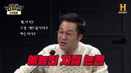 [스압] 개 vs 고양이 진정한 반려동물은?