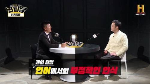 [스압] 개 vs 고양이 진정한 반려동물은?