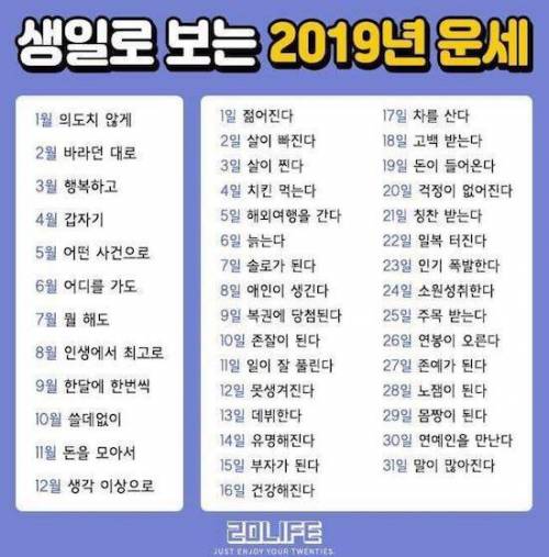 재미로 보는 2019년 운세.jpg