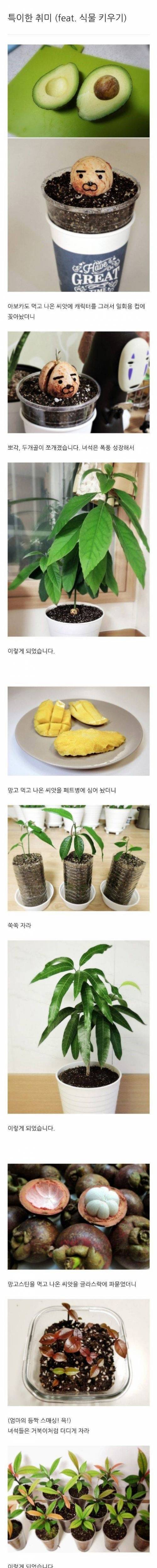 [스압] 디씨 식물갤러의 특이한 취미.jpg