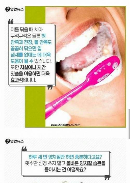 냄새 없애고 세균 죽이는 양치법.jpg