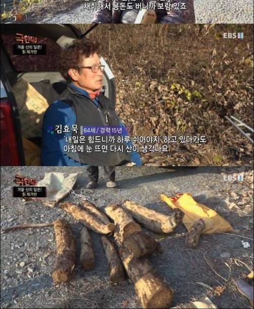 [스압] 극한직업, 150kg 칡 채취.jpg